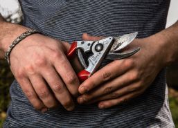 Лозарка ножица FELCO 8