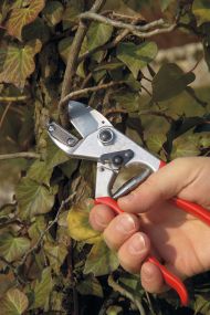 ОВОЩАРСКА НОЖИЦА FELCO 31